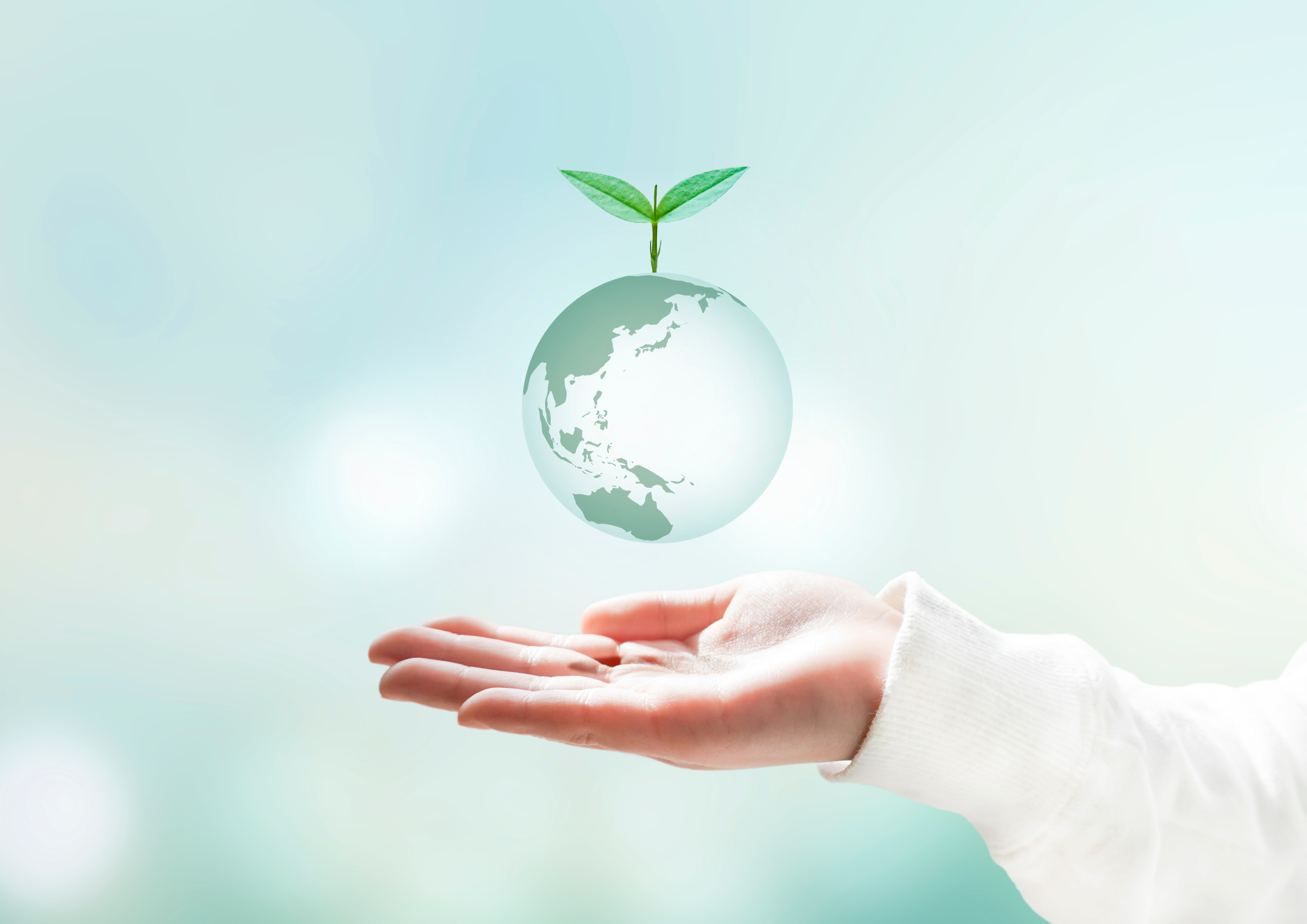 省エネへの取り組みの様子